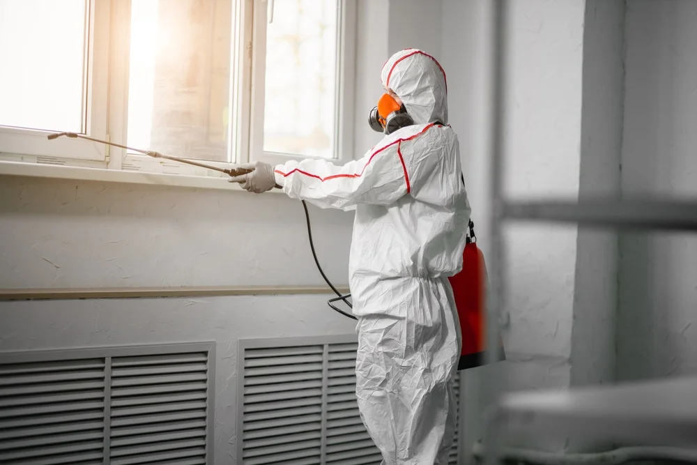 Professional mold remediation services in Vaughn, WA